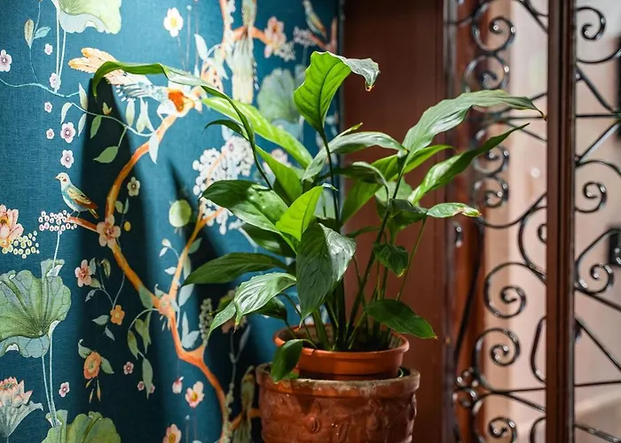 ゲストハウス Veronica Centro