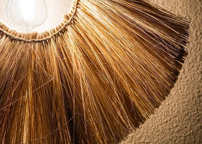 Veronica Centro ゲストハウス