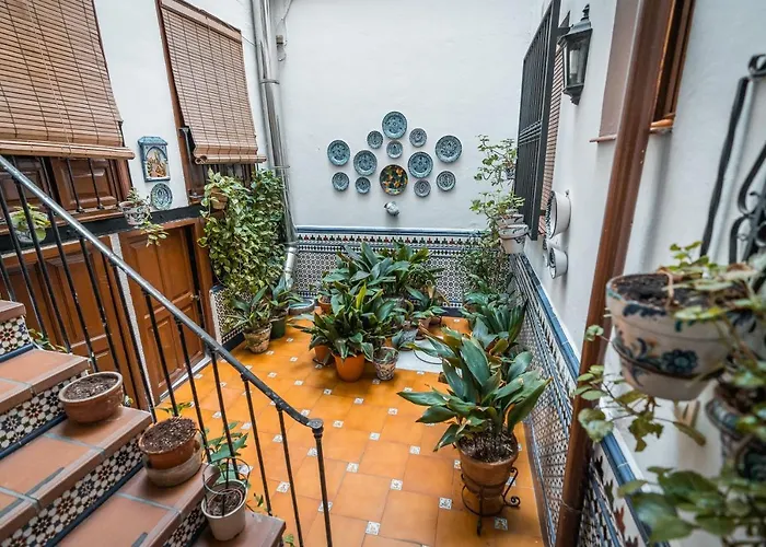 Veronica Centro グラナダ