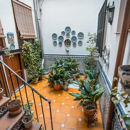 Veronica Centro Гранада